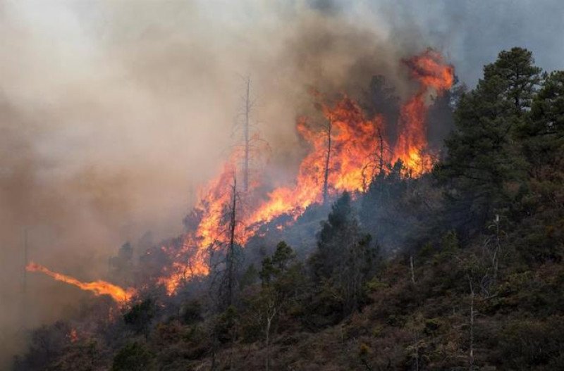 Mil y más evacuados por incendio forestal en Los Ángeles