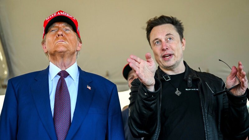 Elon Musk estudia financiar al partido de Nigel Farage