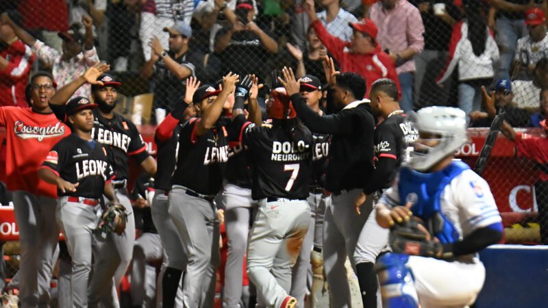 Pierde el Licey y los Leones van este sábado por pase al round robin