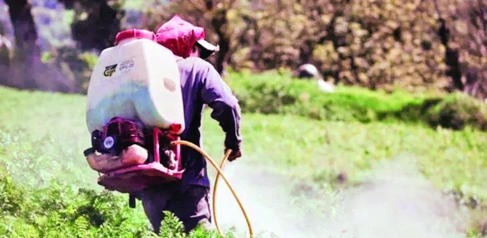 Avionetas sobrevuelan zona escolar fumigando parcelas