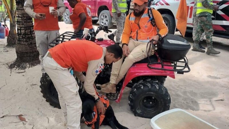 Unidades caninas y four wheels en la búsqueda de Sudiksha Konanki