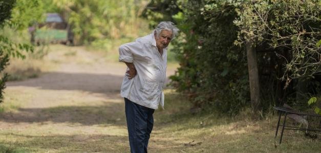 Fue Pepe Mujica un miembro del Movimiento de Liberación Nacional-Tupamaros