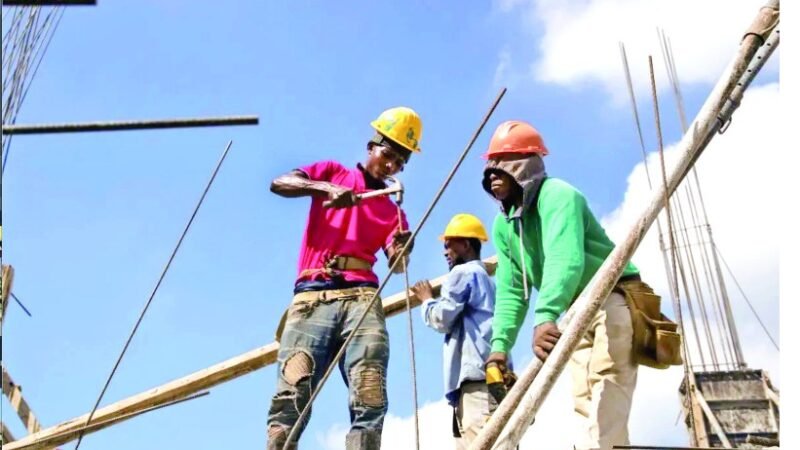Más de 87,000 permisos para emplear haitianos en obras