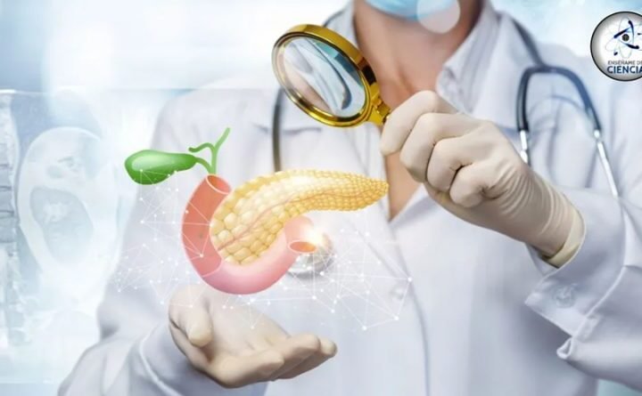 Diabetes: Avances en su Tratamiento y Alimentación según el Tipo