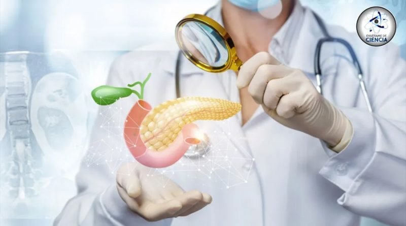 Diabetes: Avances en su Tratamiento y Alimentación según el Tipo