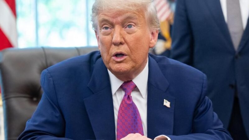 Bloquean decreto de Trump que busca poner fin a ciudadanía por nacimiento
