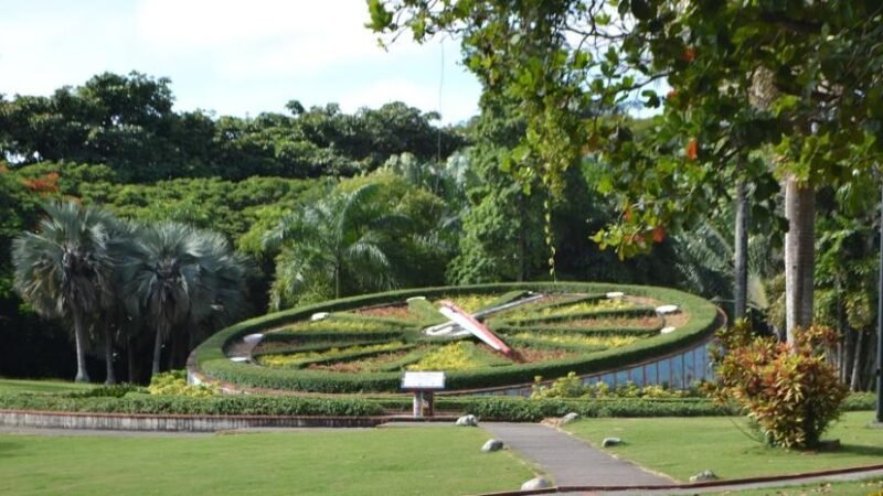 Medio Ambiente dice impacto al Jardín Botánico sería de un 0.01 por ciento