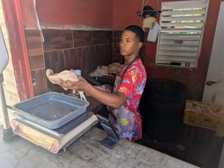 Aumenta el pollo en provincias del suroeste