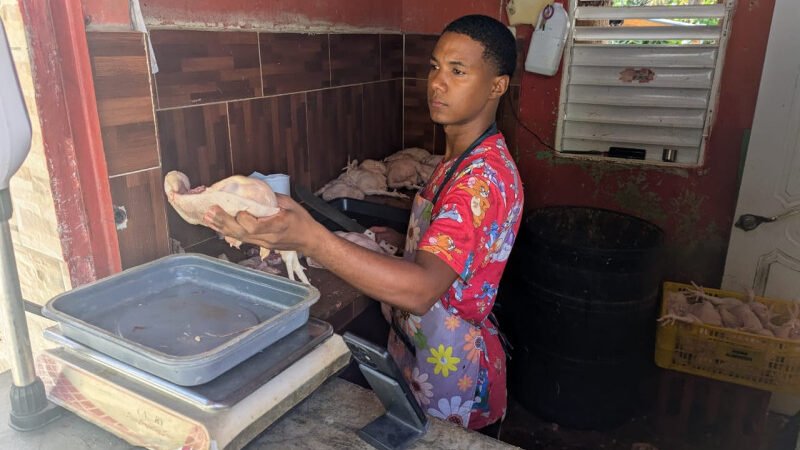 Aumenta el pollo en provincias del suroeste