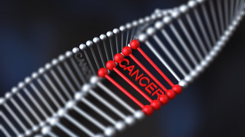  Por qué se hereda el cáncer