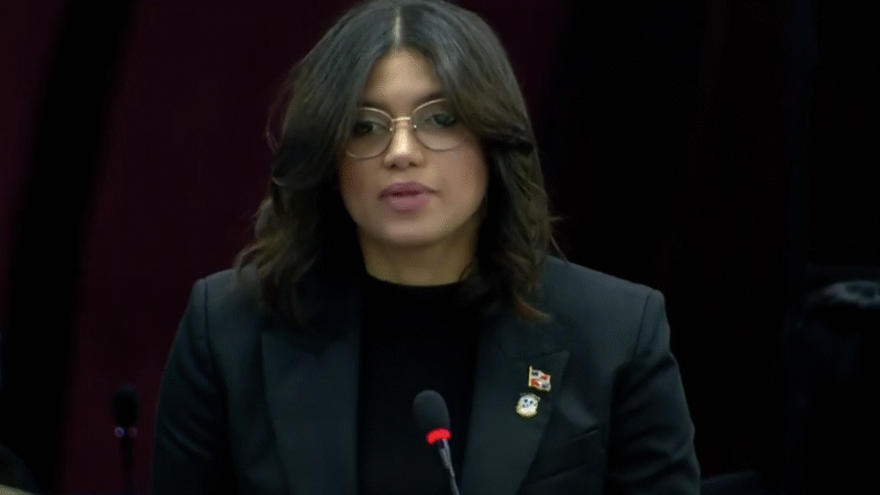 «Punta Catalina es el desacierto más grande del sistema eléctrico»