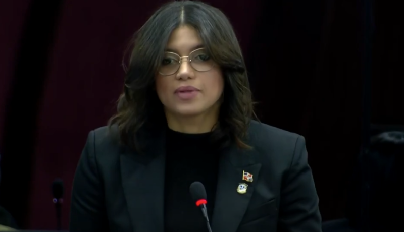 «Punta Catalina es el desacierto más grande del sistema eléctrico»