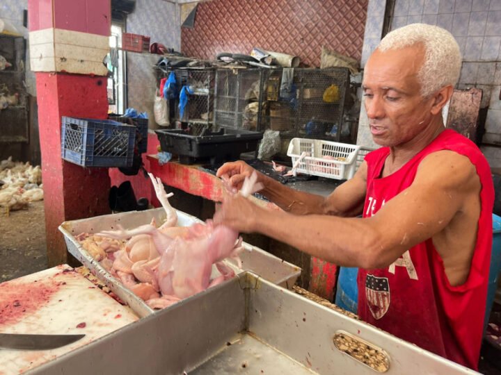 Alarma en el Cibao por aumento de la libra de carne de pollo