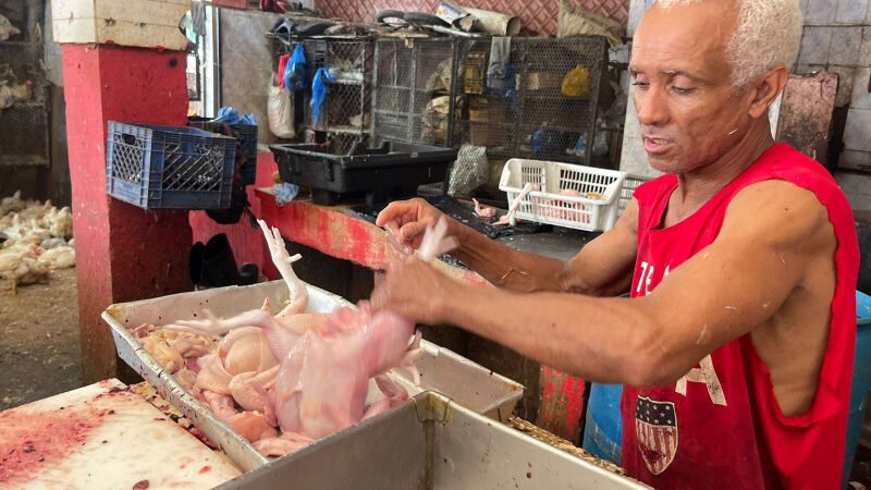 Alarma en el Cibao por aumento de la libra de carne de pollo