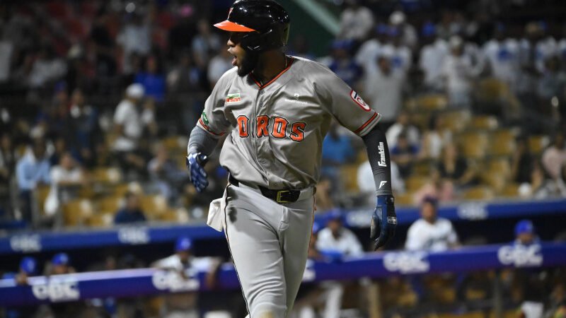 Brayan de la Cruz da un grand slam y los Toros superan al Licey