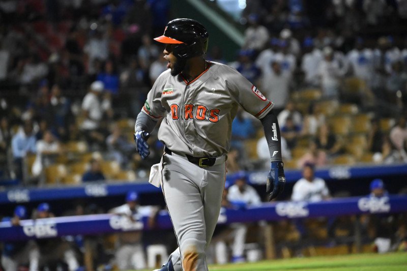 Brayan de la Cruz da un grand slam y los Toros superan al Licey