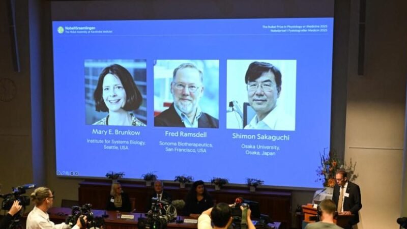 Brunkow, Ramsdell y Sakaguchi reciben el Nobel de Medicina por la tolerancia inmunológica periférica