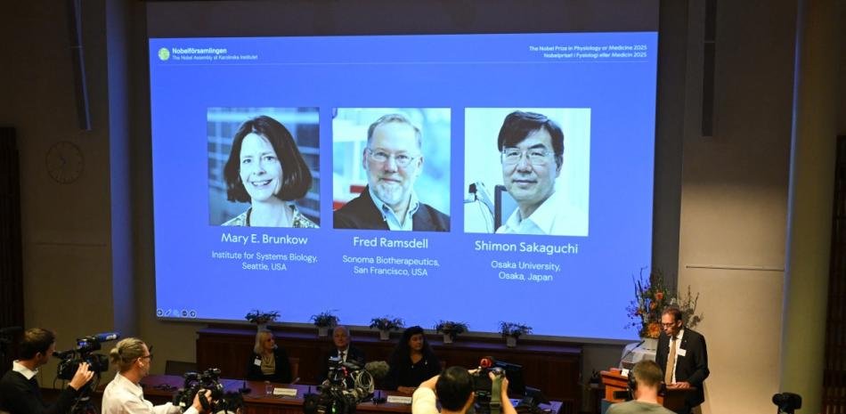Brunkow, Ramsdell y Sakaguchi reciben el Nobel de Medicina por la tolerancia inmunológica periférica