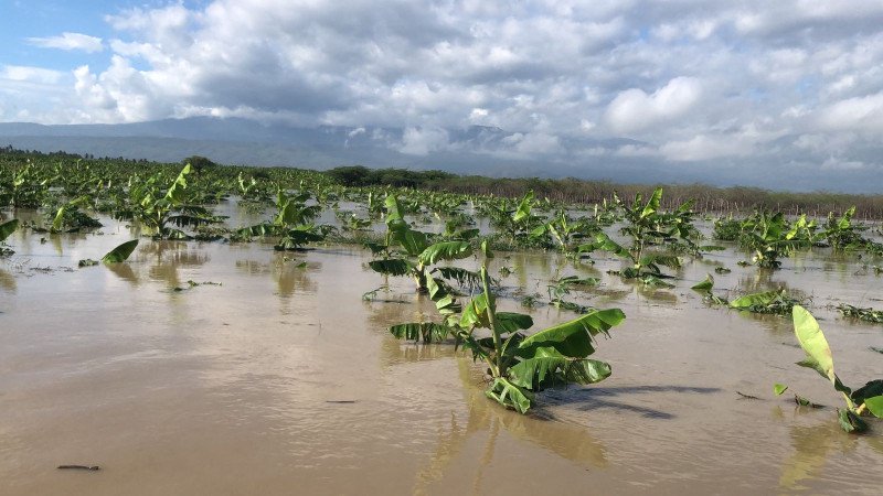 Más de 4,000 evacuados y pérdidas millonarias en producción agrícola del Sur