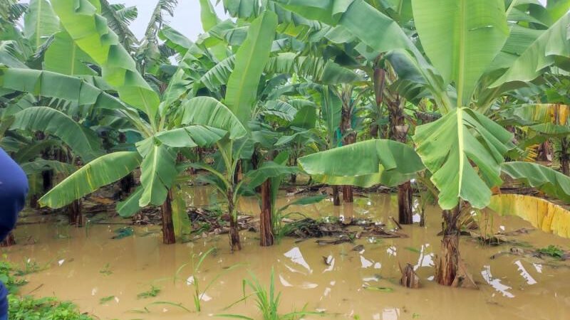 Estragos en la región del Cibao por causa de Melissa