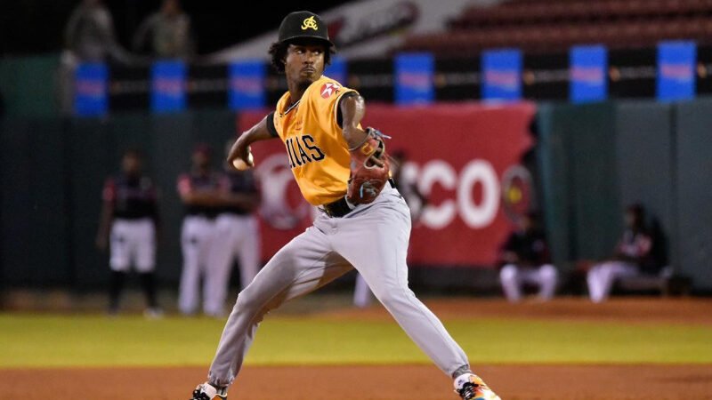 Jorge Tavárez gana su primer juego en Lidom y las Águilas derrotan a los Gigantes