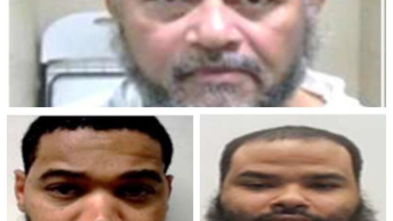 Tres dominicanos entre los 15 “peores criminales inmigrantes” arrestados por ICE