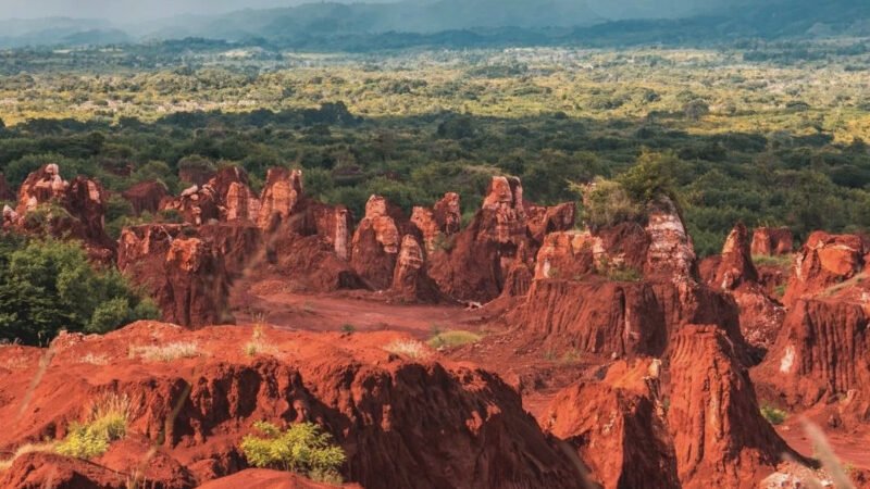 La mención de tierras raras por Luis Abinader en el discurso de rendición de cuentas causa efervescencia en la ciudadanía