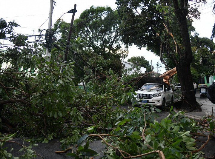 Al “Parece que pasó un tornado”