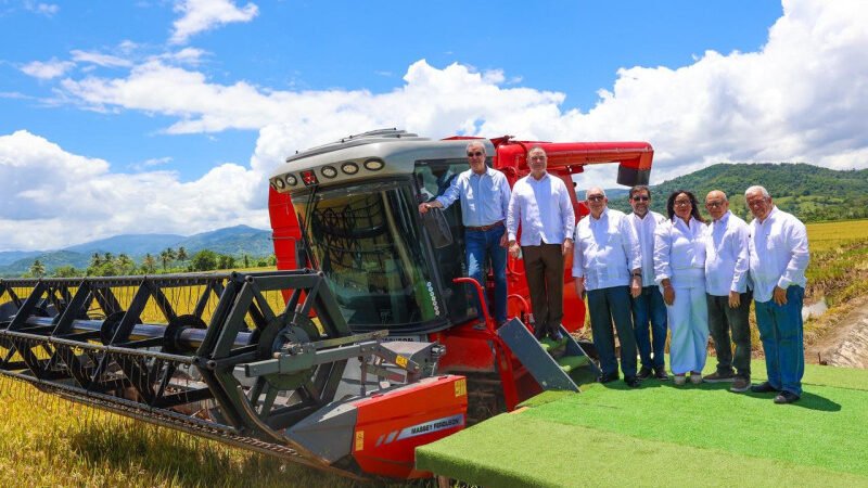 El mayor productor de arroz del Caribe y Centroamérica