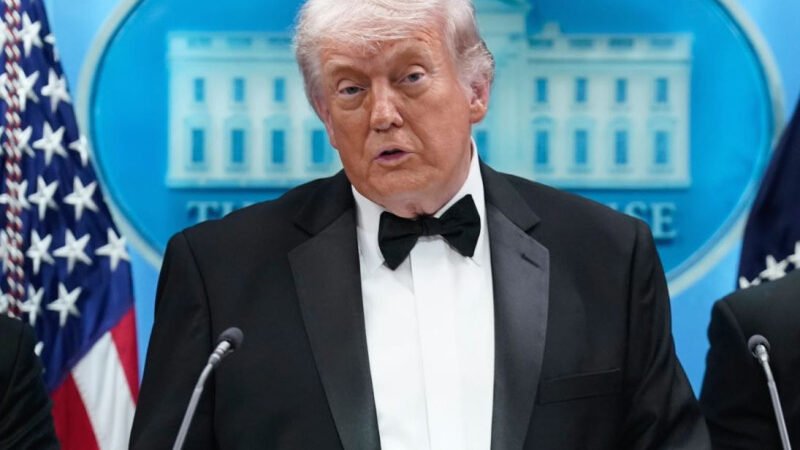 Atacante: “Creen que era un lobo solitario”