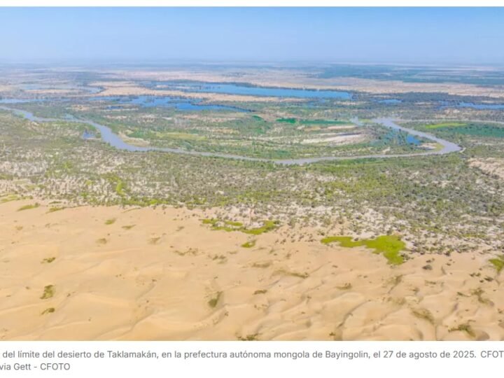 Logran reverdecer el desierto de Taklamakán y capturar carbono