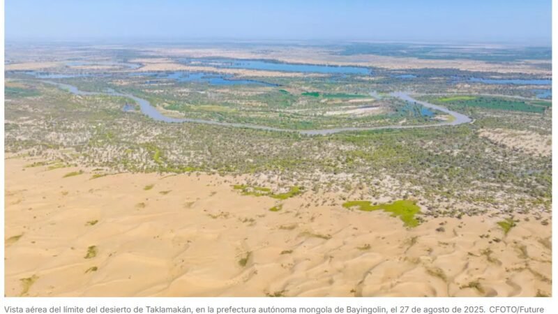 Logran reverdecer el desierto de Taklamakán y capturar carbono
