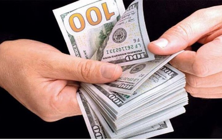 Los créditos en moneda extranjera representa el 24%