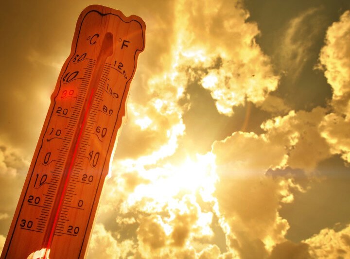  Calor extremo «sin precedentes», según la OMM