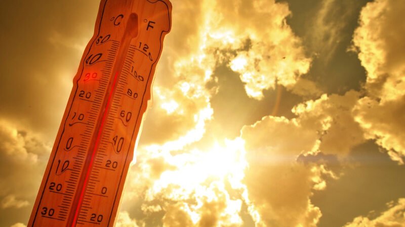  Calor extremo «sin precedentes», según la OMM