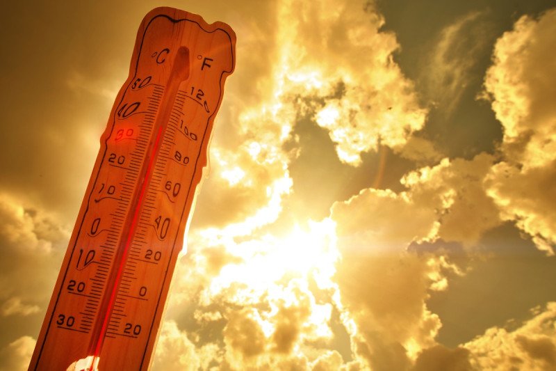  Calor extremo «sin precedentes», según la OMM