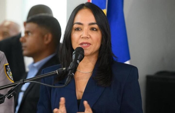 El sistema antifeminicidio ha fallado , dice  Faride Raful
