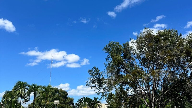 Cielo despejado y sensación térmica calurosa para este sábado