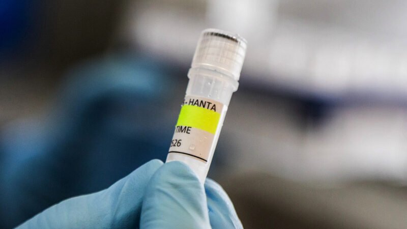 El primer contagio de hantavirus fue fuera del crucero, según OMS