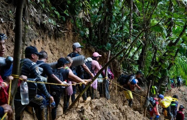 Cae red de tráfico de migrantes por el Darién