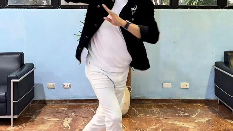 Eddy Herrera, El Alfa, Rochy RD, Chimbala, Yailín la Más Viral, Tokisha, Jey One, La Insuperable, Romeo Santos, Prince Royce, Toño Rosario, Wilfrido Vargas y Los Hermanos Rosario, se viralizan en redes sociales