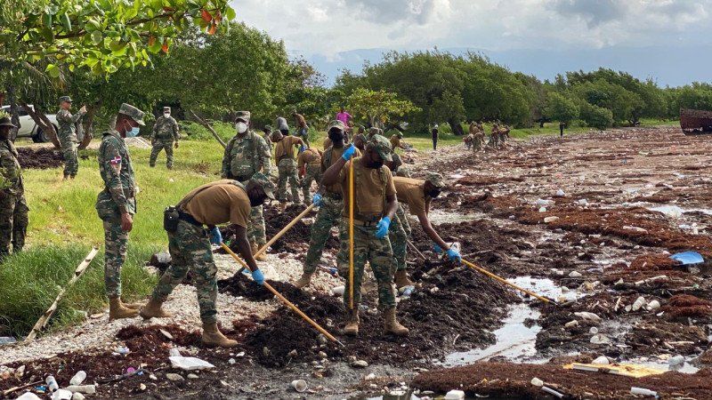 Operativo retira sargazo de las costas de Barahona