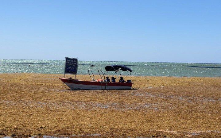 La pesadilla turística se vuelve una oportunidad para la industria dominicana