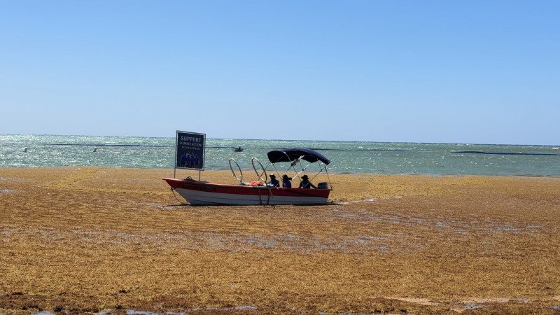La pesadilla turística se vuelve una oportunidad para la industria dominicana