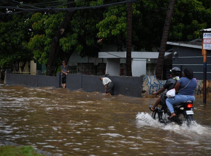 Se reportan 196 casos de leptospirosis en lo que va de año