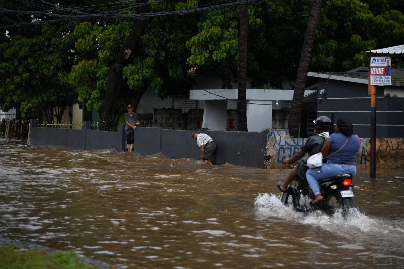 Se reportan 196 casos de leptospirosis en lo que va de año