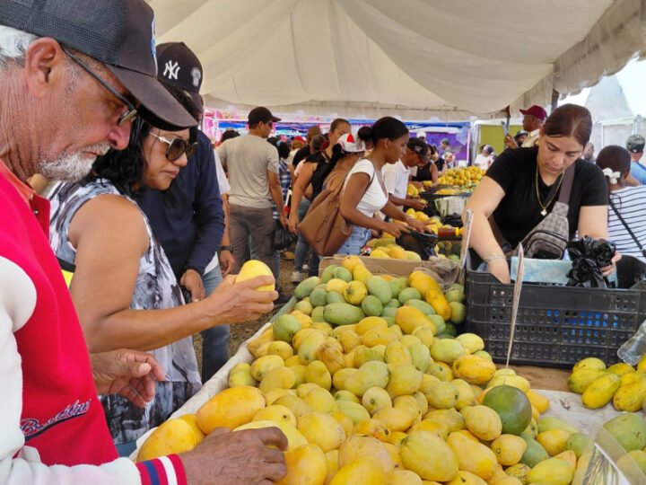 Perderán 90 millones de pesos por el veto de EE.UU. al mango dominicano