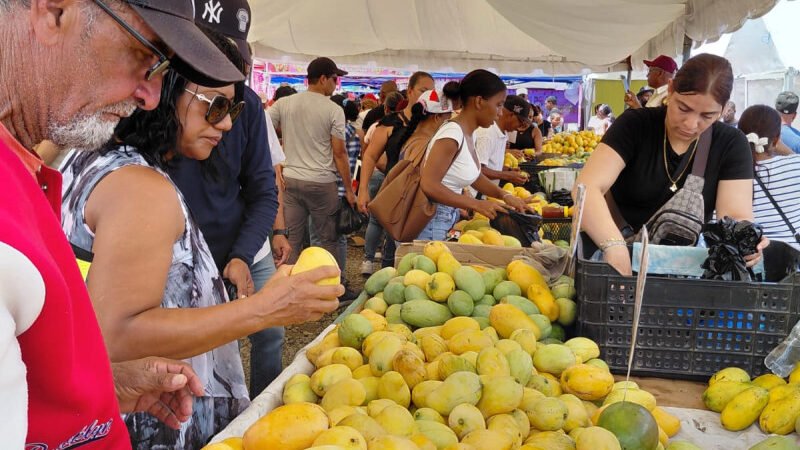 Perderán 90 millones de pesos por el veto de EE.UU. al mango dominicano