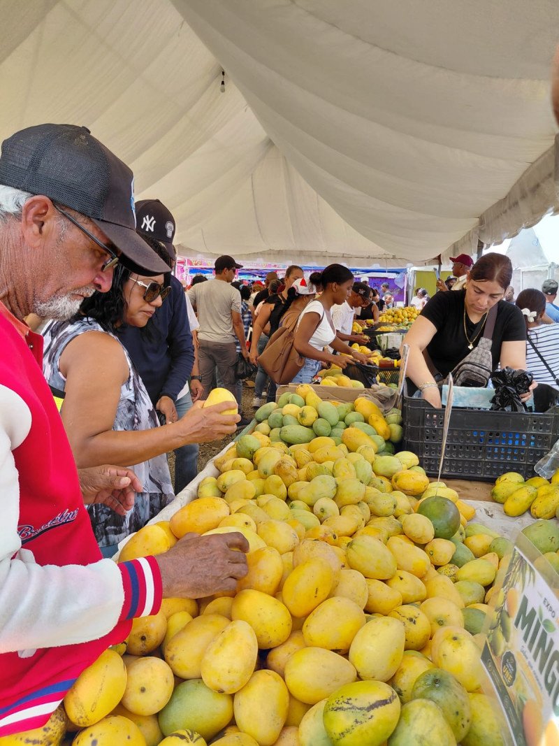 Perderán 90 millones de pesos por el veto de EE.UU. al mango dominicano