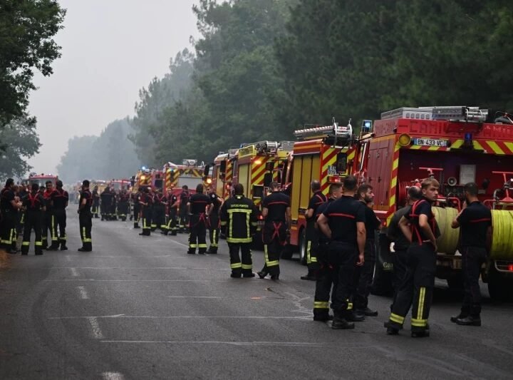 Incendios forestales desesperan a ganaderos en Madrid